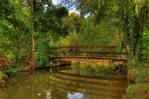 Ruhige, ruhige Sommerlandschaft