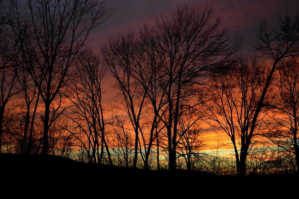 Herbst Sonnenuntergang am Waldrand