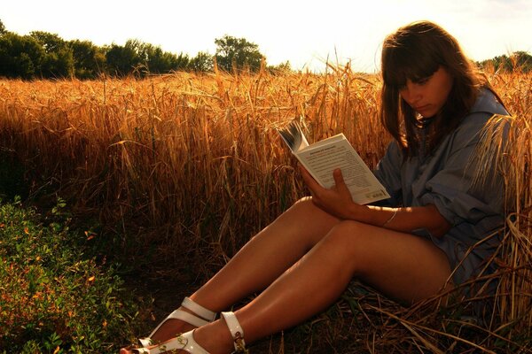 A girl with an open book on the edge of a wheat field