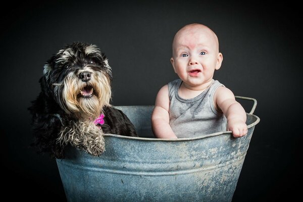 Amici non versare acqua, bambino e cane