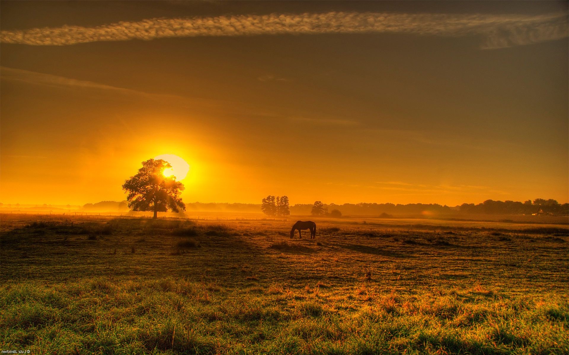 sonnenuntergang und dämmerung sonnenuntergang dämmerung sonne landschaft abend dämmerung himmel natur gutes wetter gold