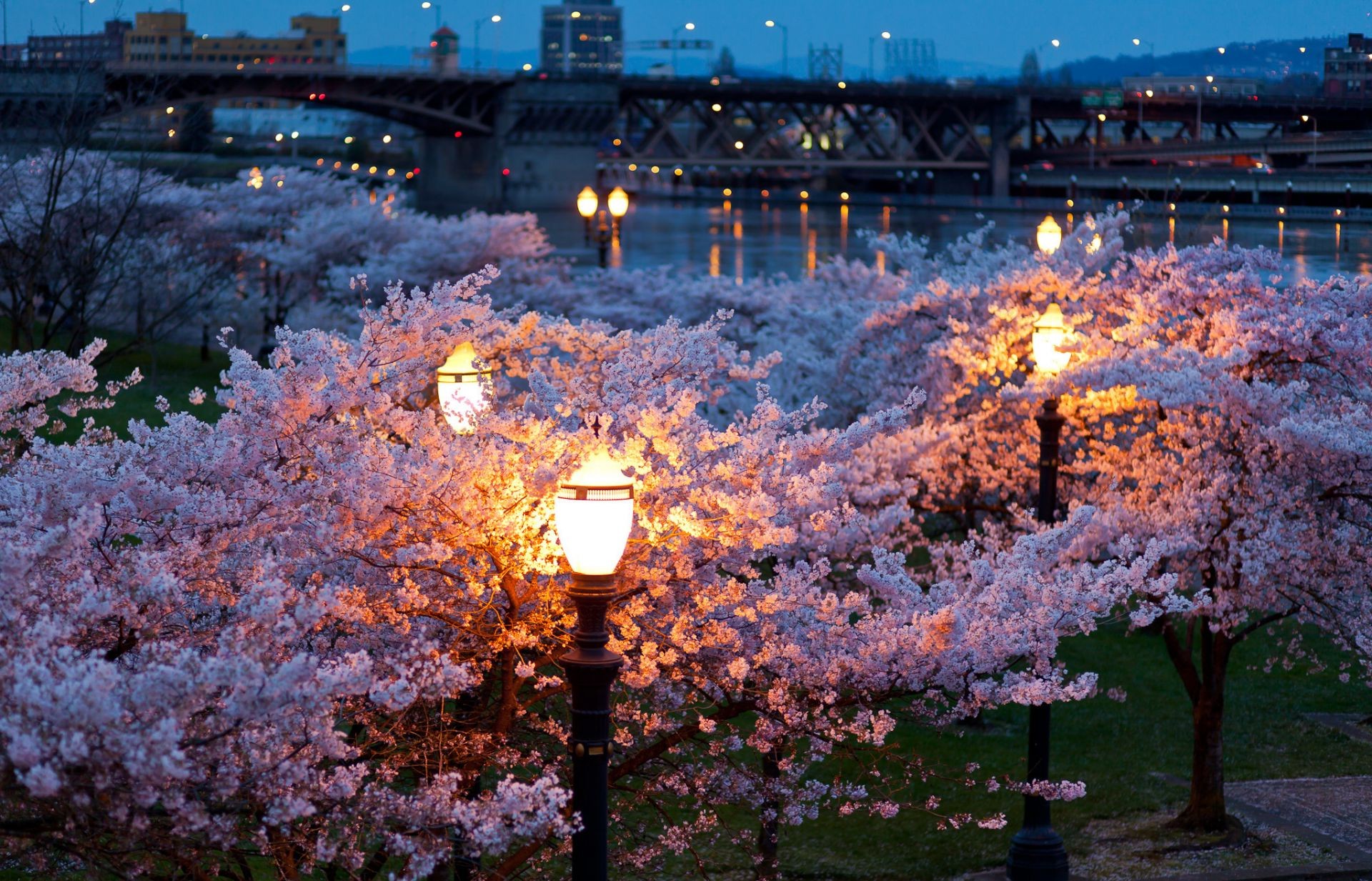 cidade árvore flor ao ar livre temporada natureza luz céu viagens paisagem parque arquitetura