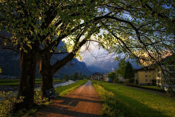 Strada, alberi, case e montagne