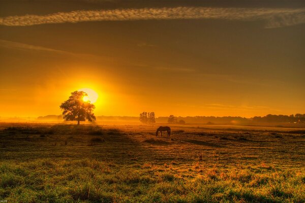 Landschaft von Sonnenuntergang und Sonnenaufgang