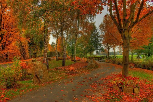 Caduta delle foglie d autunno in un parco di campagna