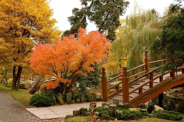 Autumn park with a wooden bridge