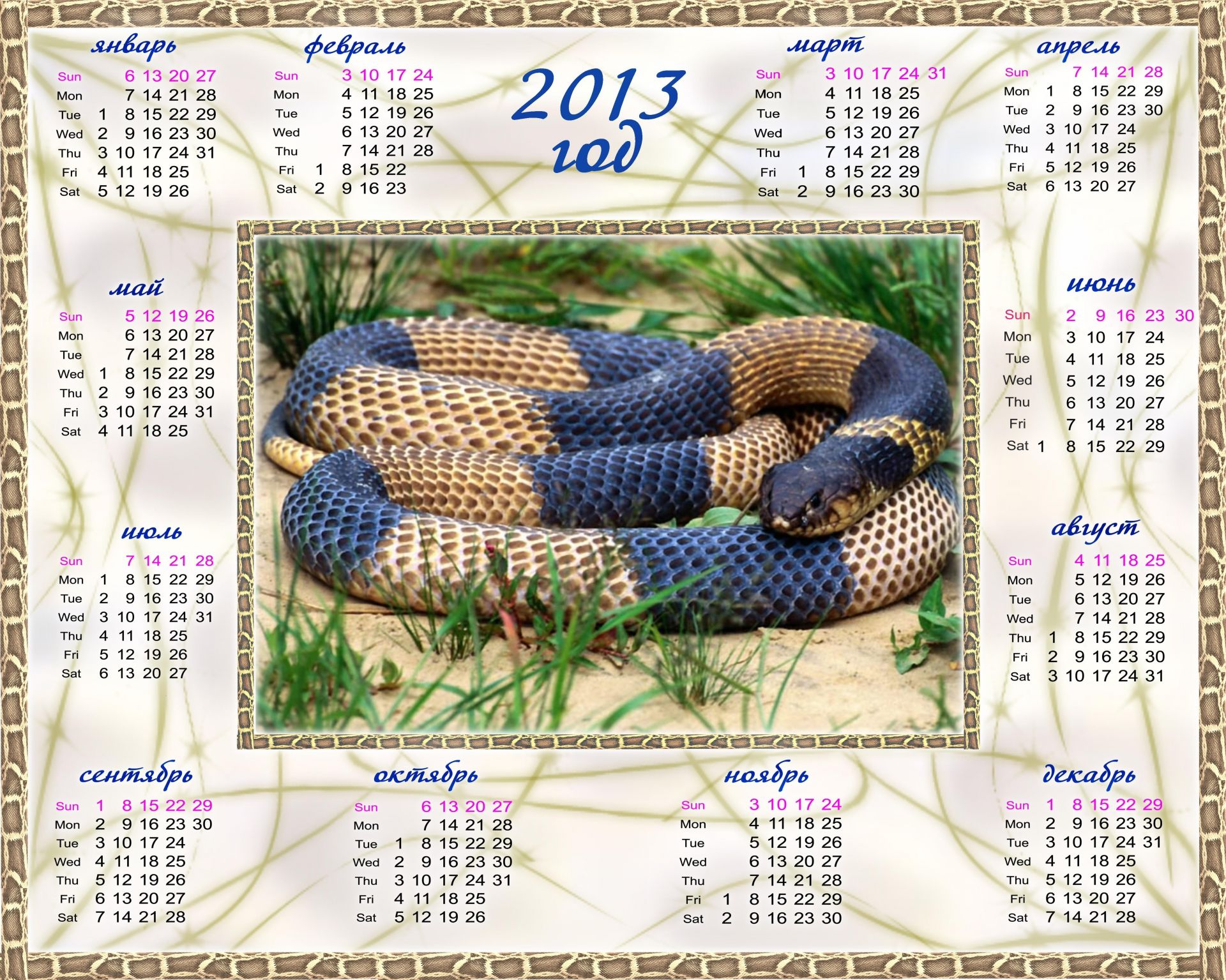 vacanze serpente gazoo data orizzontale pericolo passatempo modello natura desktop calendario corda animale