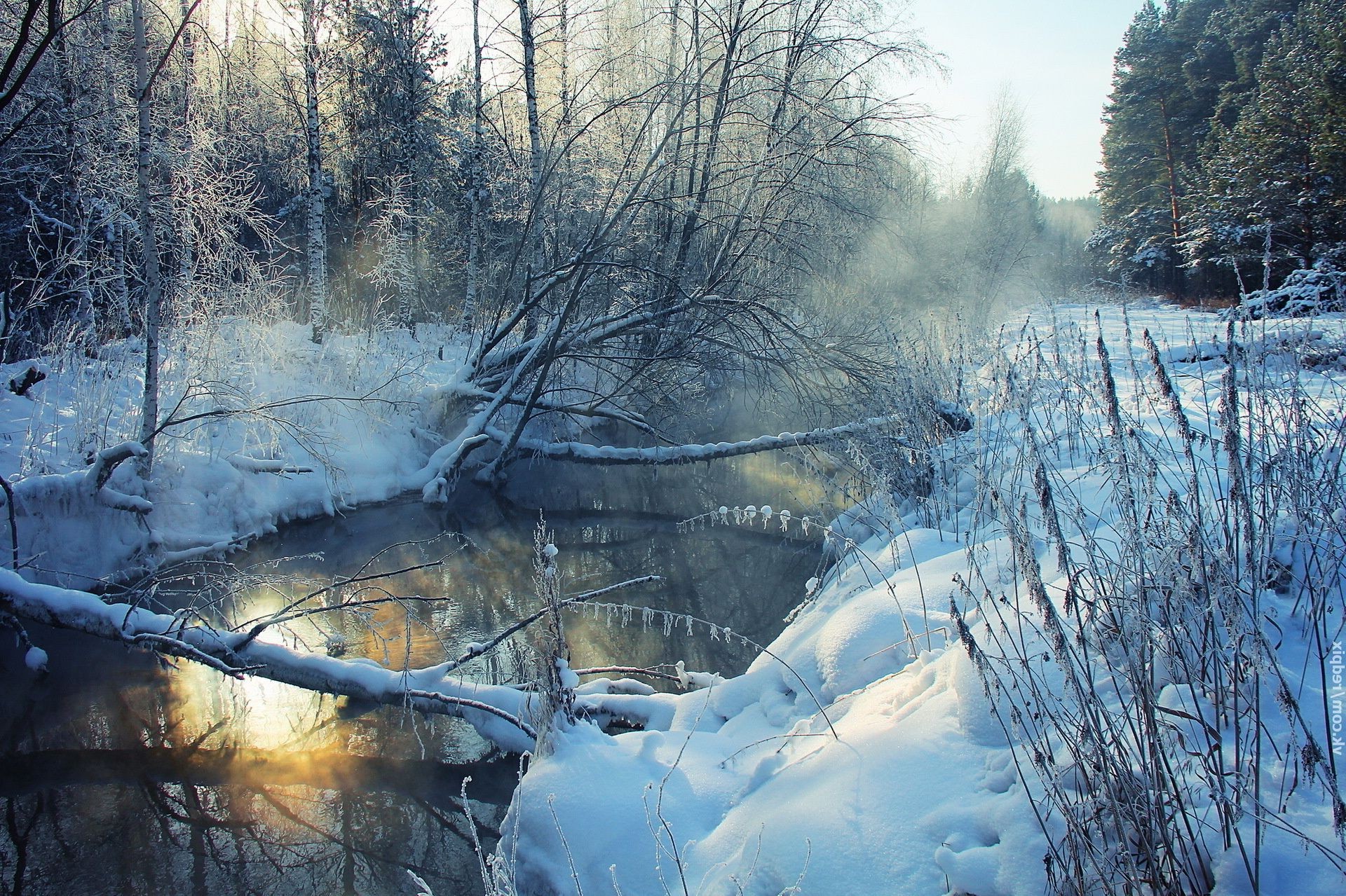 fiumi stagni e torrenti stagni e torrenti inverno neve freddo paesaggio gelo ghiaccio acqua natura albero congelato legno fiume tempo all aperto nebbia stagione ambiente parco riflessione