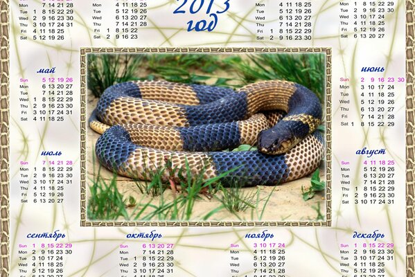 Serpiente azul. Calendario 2013