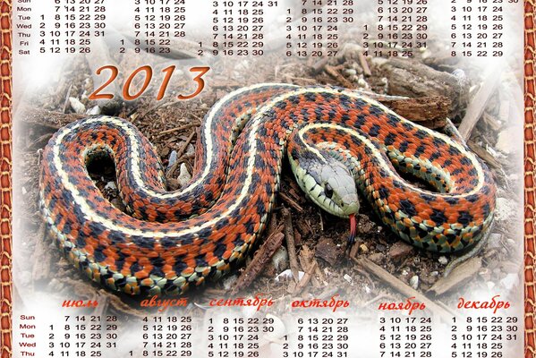 The snake is depicted on the calendar with a pleasant shade