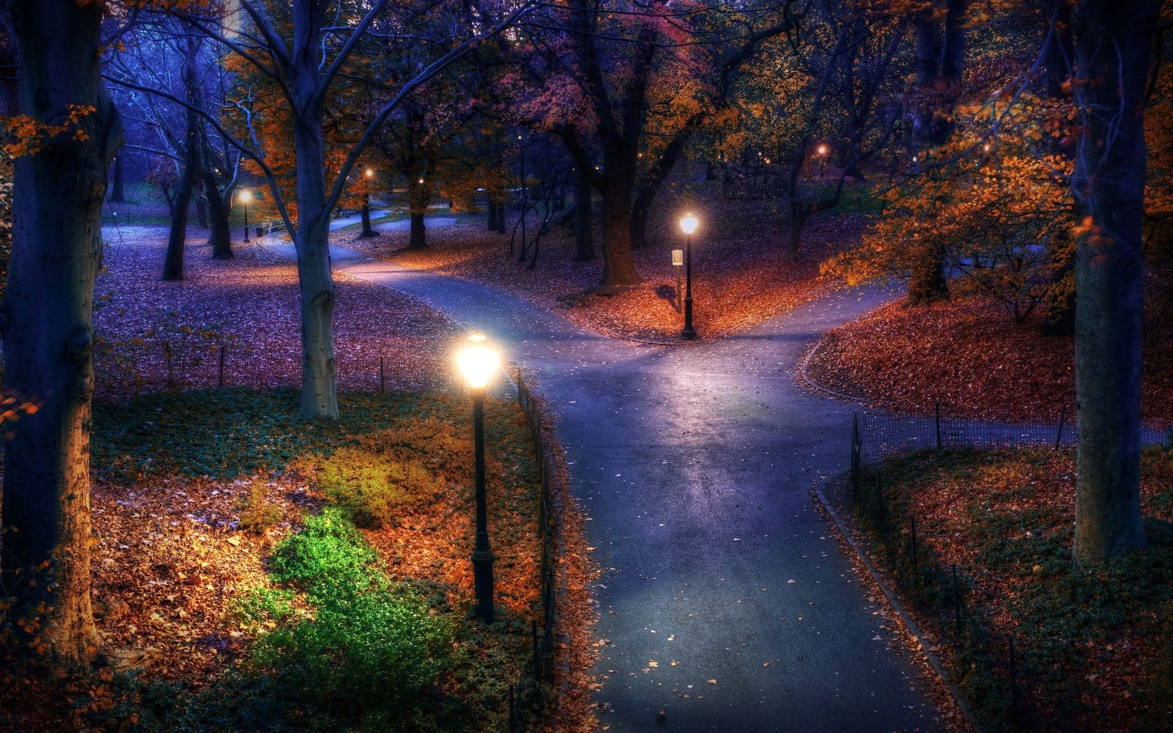 otoño árbol luz otoño paisaje amanecer noche carretera madera al aire libre parque hoja sol sombra viajes guía naturaleza puesta de sol buen tiempo