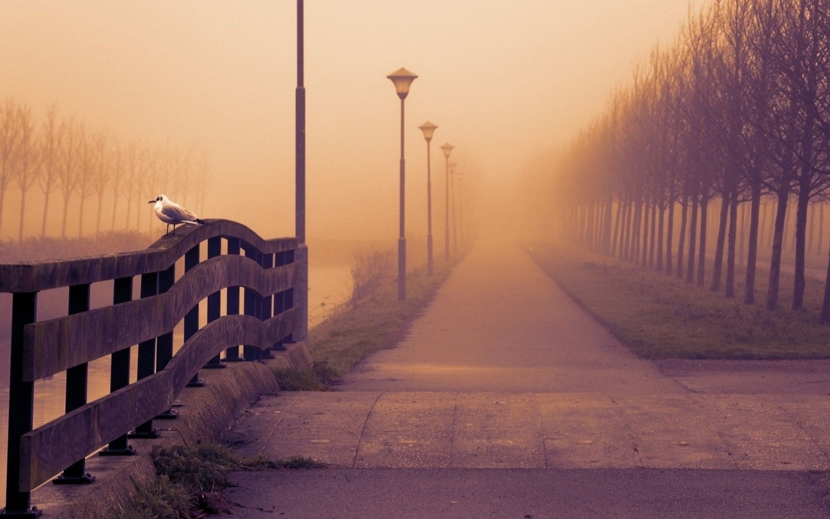 paesaggio alba nebbia tramonto inverno luce nebbia all aperto crepuscolo sera meteo cielo paesaggio neve viaggi acqua