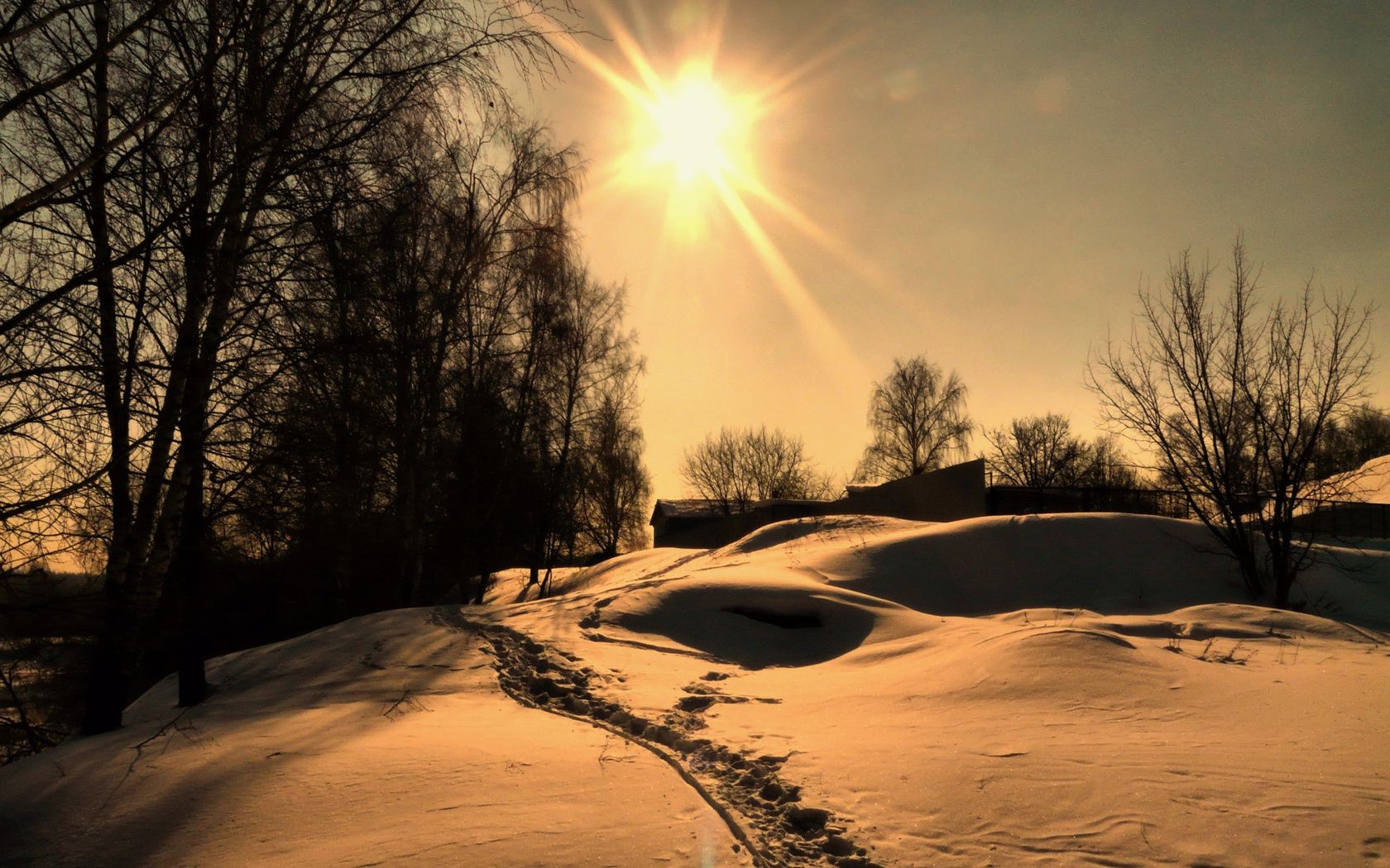 winter dawn snow sunset landscape tree sun nature fair weather evening cold sky ice light weather