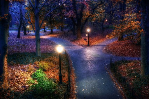 Parque de descanso nocturno de otoño