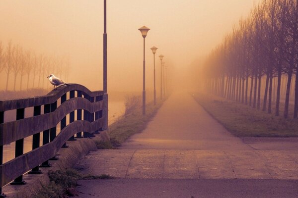 Die Promenade im Morgennebel. Ein Vogel sitzt auf einem Zaun