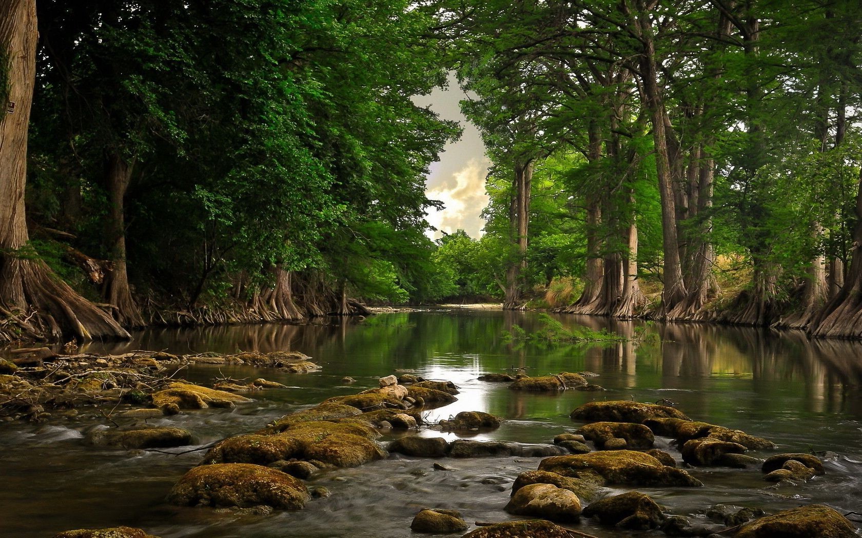 flüsse teiche und bäche teiche und bäche wasser natur holz fluss holz blatt reisen landschaft im freien sommer fluss