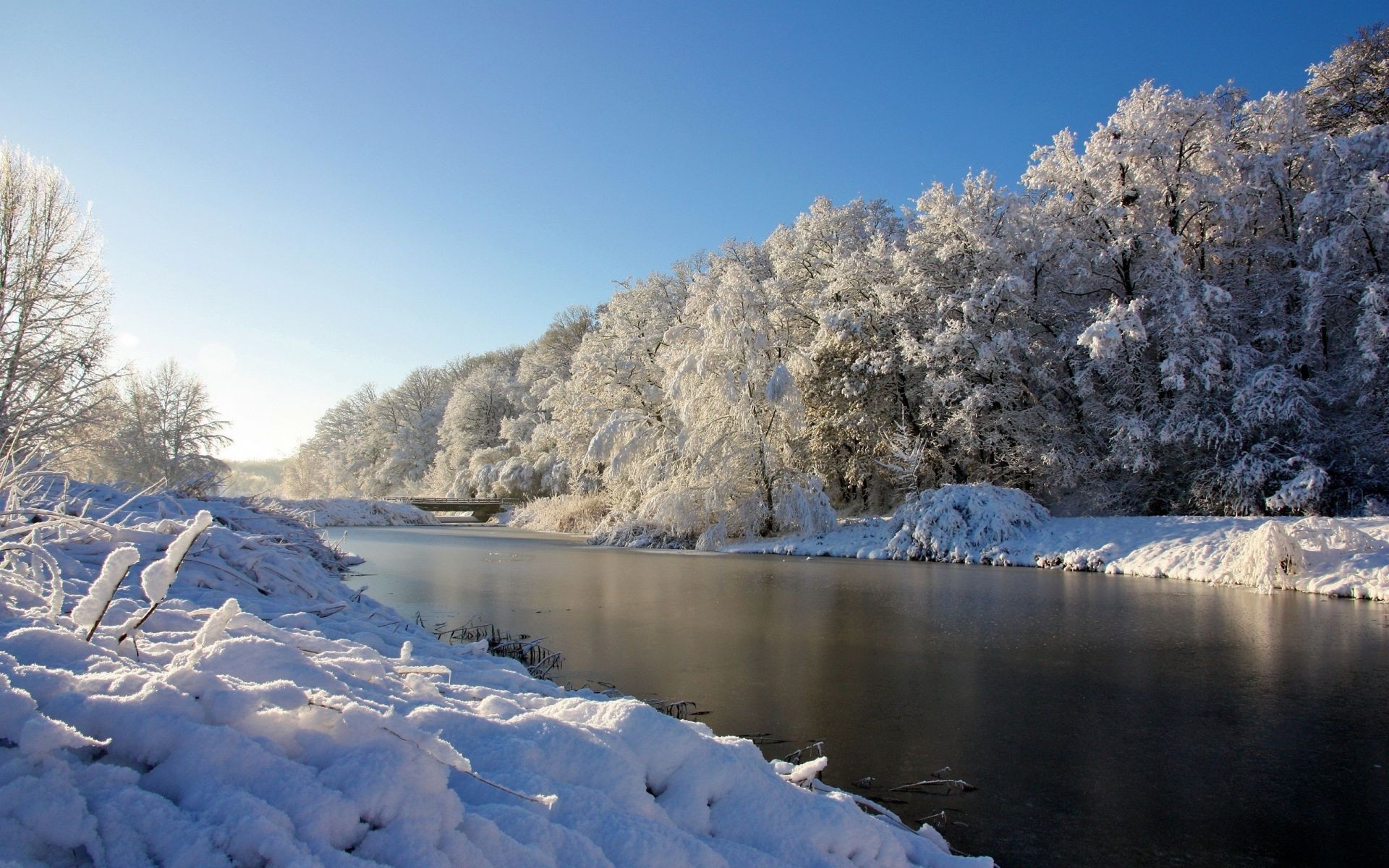 flüsse teiche und bäche teiche und bäche schnee winter eis kalt frost gefroren landschaft baum wasser natur holz landschaftlich frostig im freien berge wetter