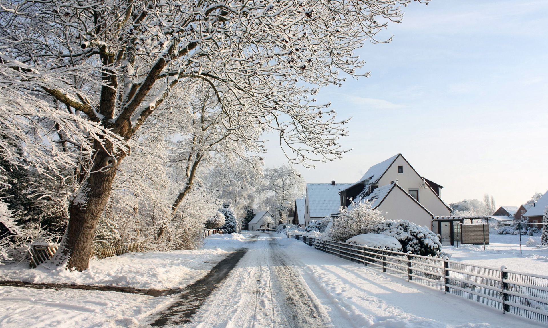 invierno nieve frío escarcha árbol congelado madera hielo temporada paisaje naturaleza tiempo tormenta de nieve blanco como la nieve nevado rama