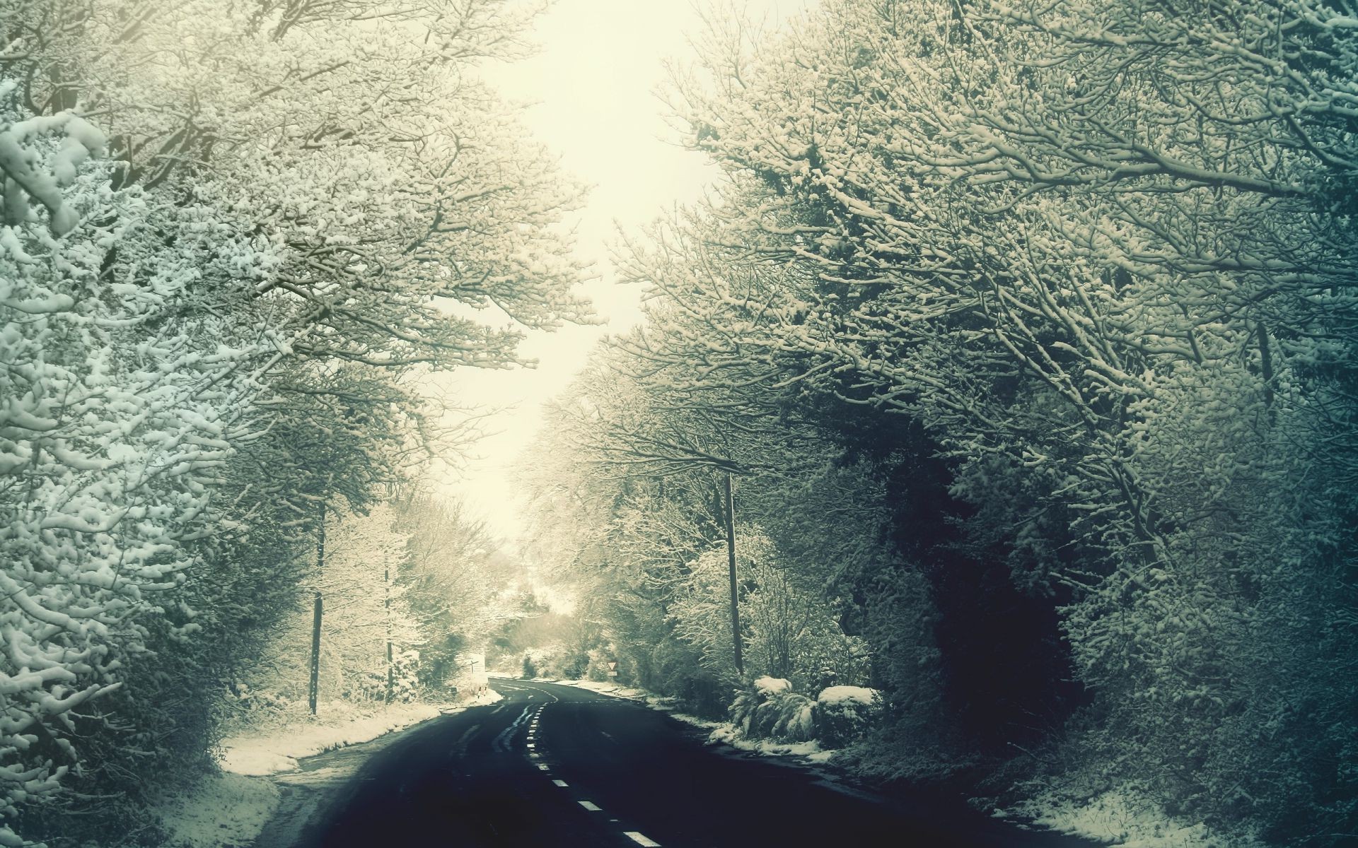 winter wasser landschaft baum natur reisen fluss