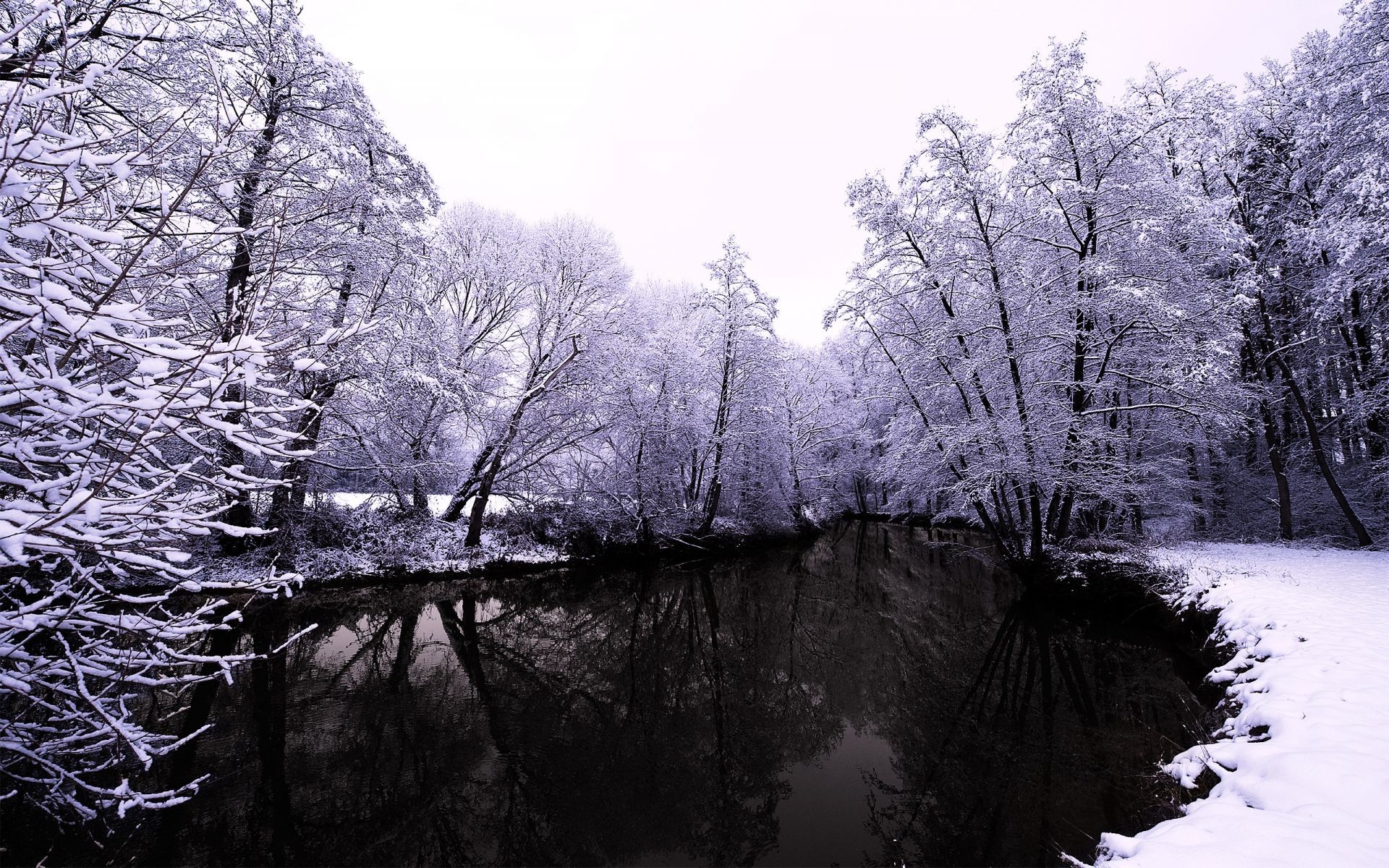 fiumi stagni e torrenti stagni e torrenti inverno neve albero freddo gelo legno paesaggio ghiaccio congelato stagione natura ramo parco scenico tempo nebbia ghiaccio neve-bianco paesaggio