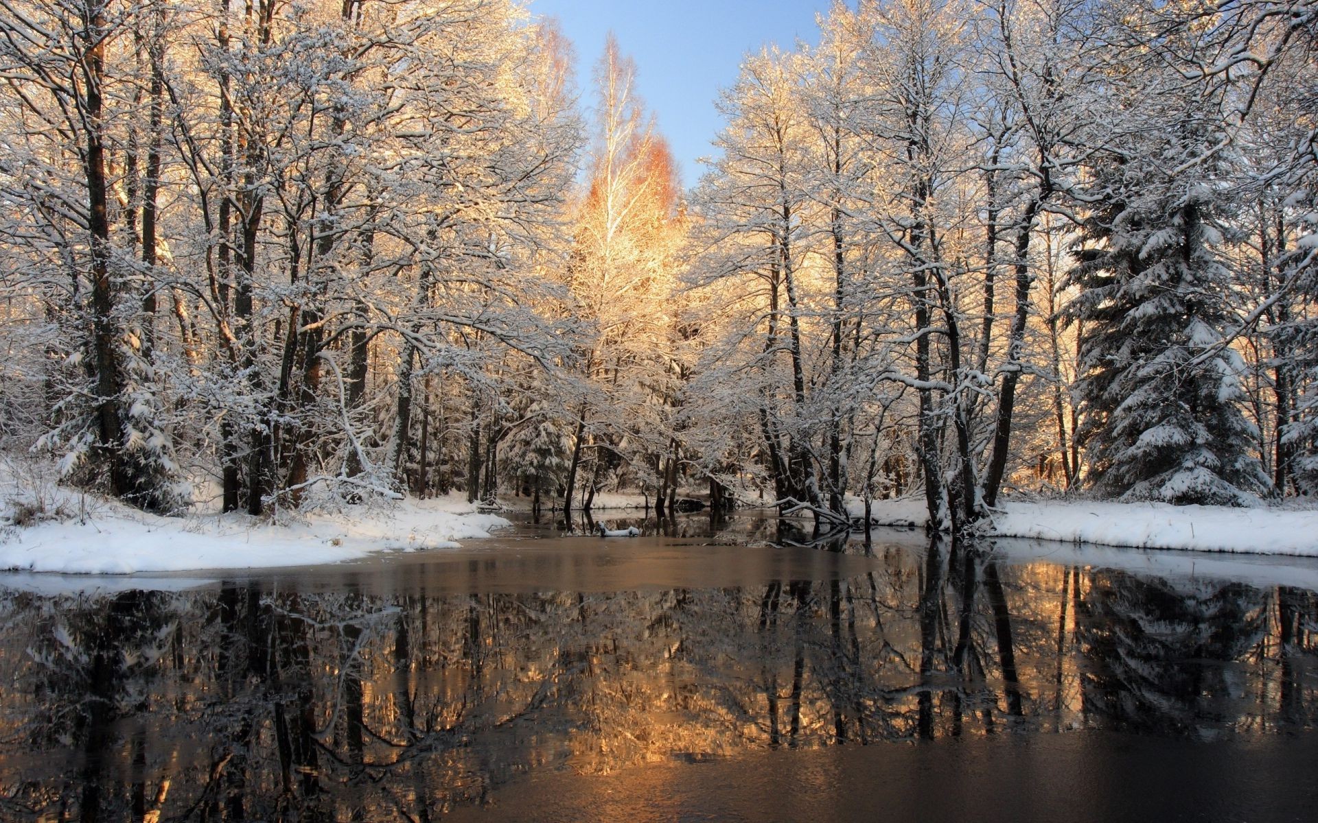 rivers ponds and streams wood winter snow tree fall landscape nature frost cold season scenic outdoors ice fair weather weather frozen branch dawn park