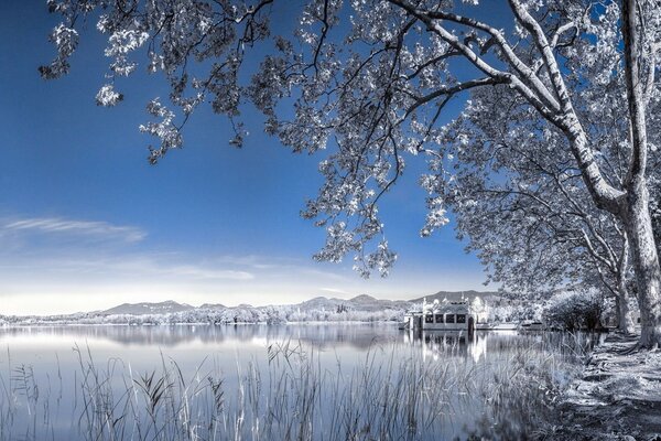 Cabane au bord du lac en hiver