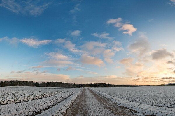 Winterstraße inmitten eines Winterfeldes