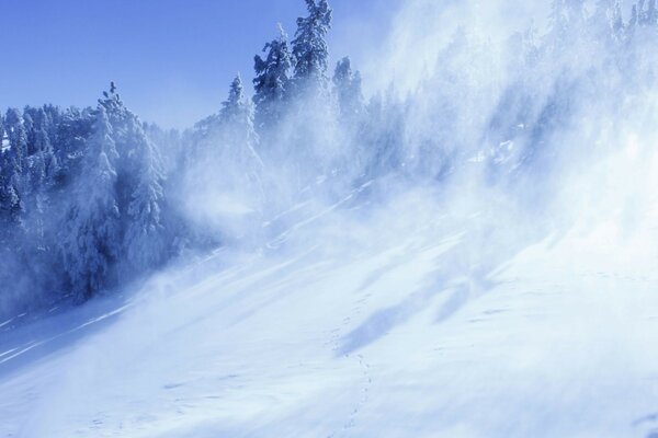 Tempête de neige sur le flanc de la montagne. Hiver