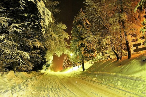 Winter snow-covered road in the forest with light