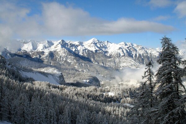 Montagne innevate e foresta invernale