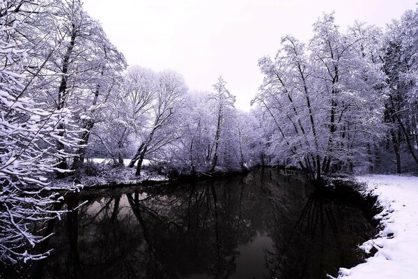 Winter pond in the forest during the day