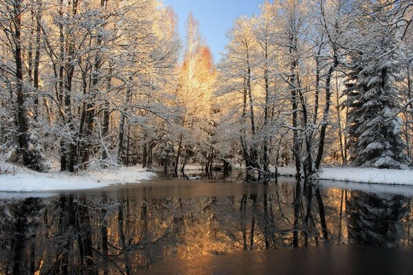 Rivière printanière au lever du soleil