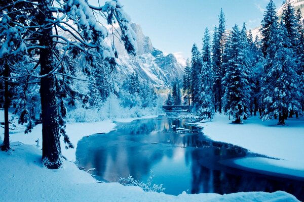 Río en medio del bosque de invierno