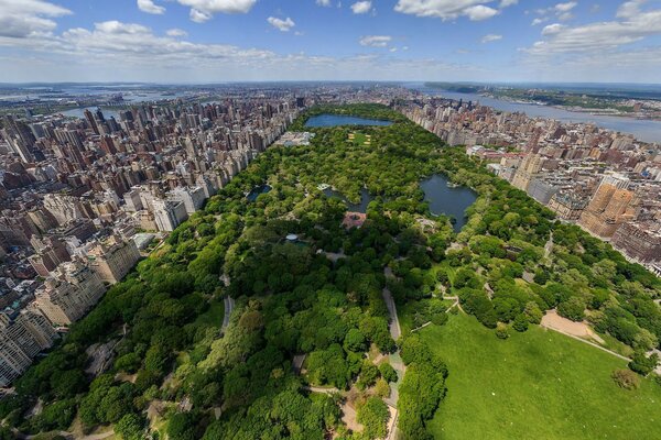 Central Park en la ciudad de nueva York