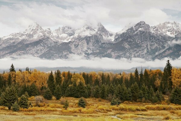 Величественные горы в осеннем лесу