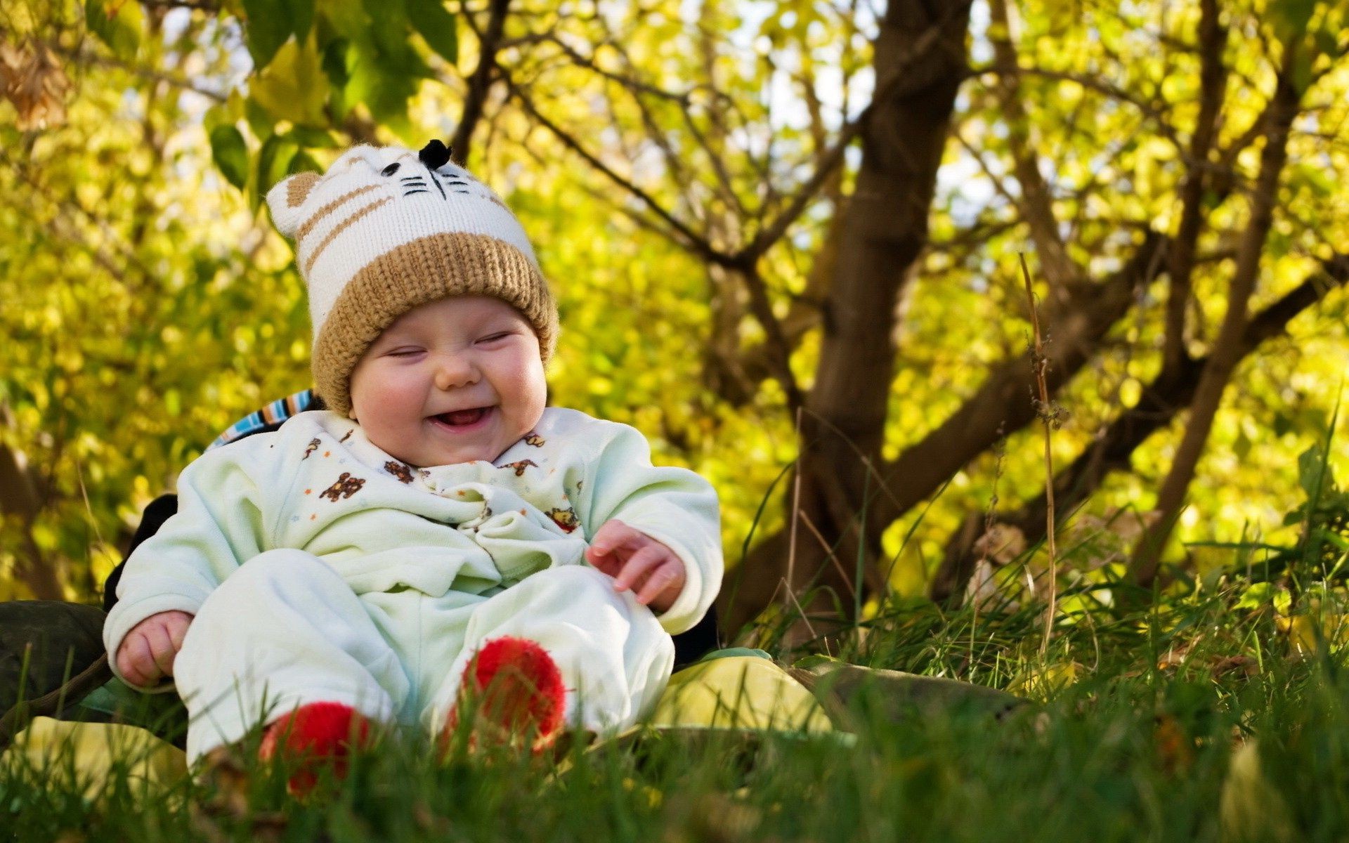 kinder im freien park herbst natur kind im freien gras im freien glück sommer ahorn kind wenig freude urlaub gutes wetter