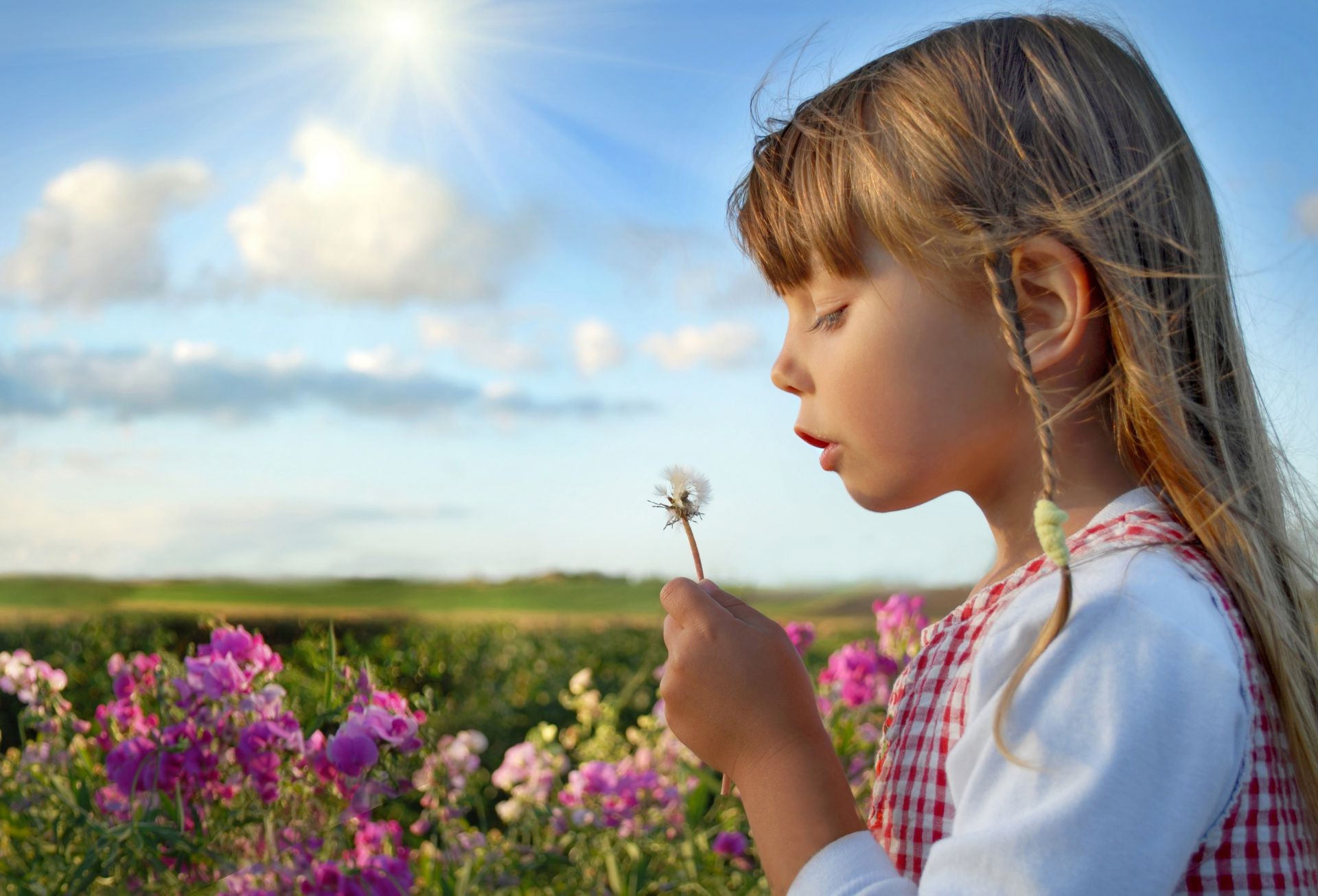 niños al aire libre al aire libre naturaleza verano bebé hierba buen tiempo cielo niña heno ocio campo placer flor sol