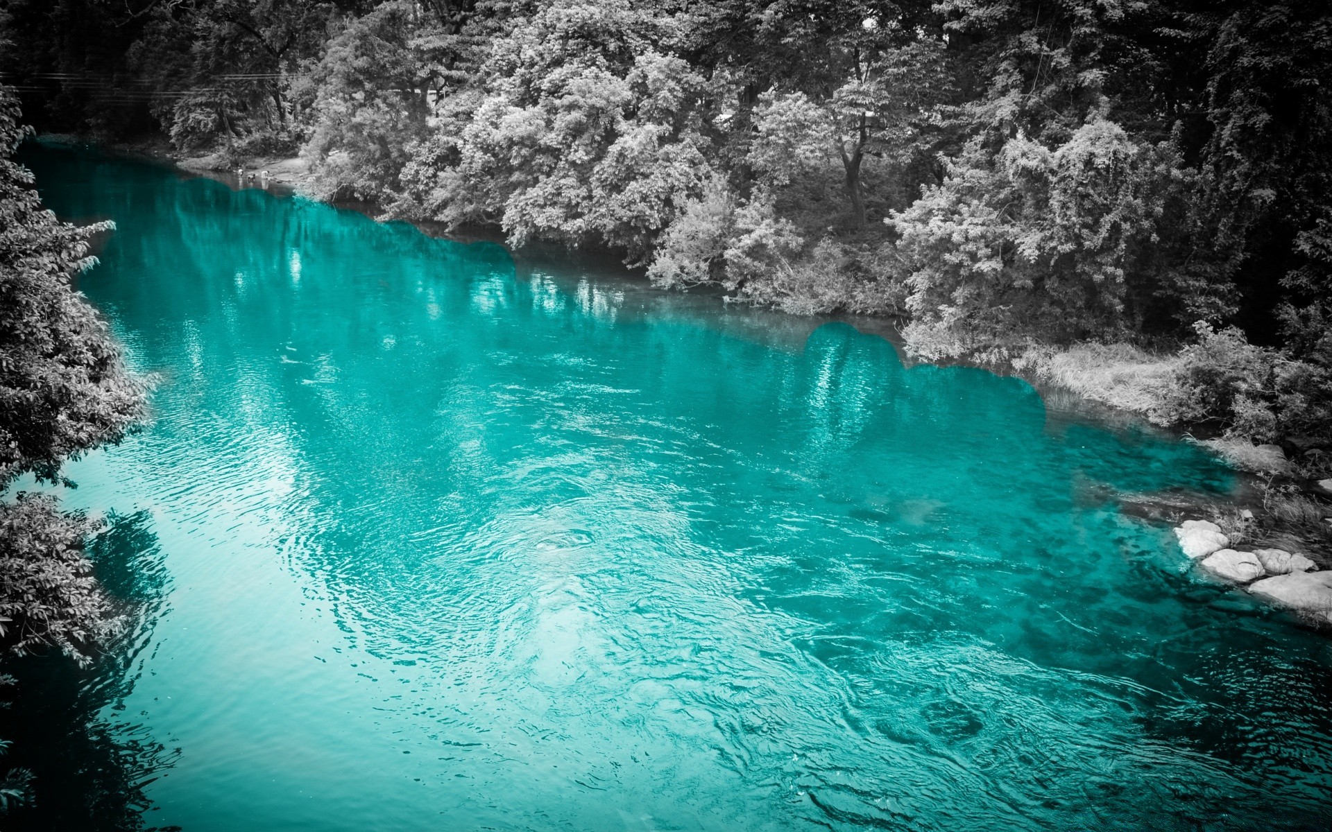 创意 水 旅游 水下 绿松石 海 海洋 游泳 自然 夏天 假期