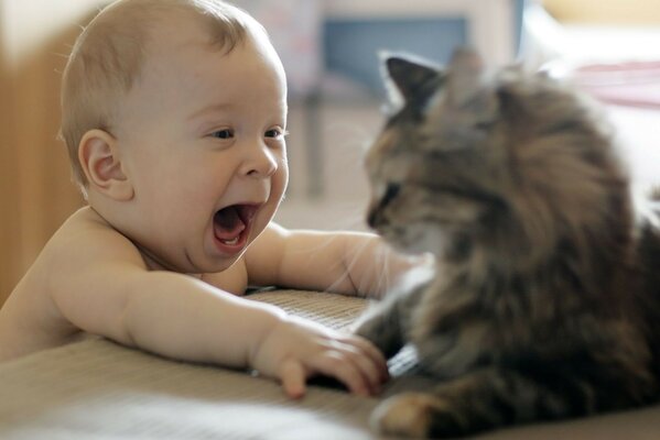 Communication d un enfant avec un animal de compagnie