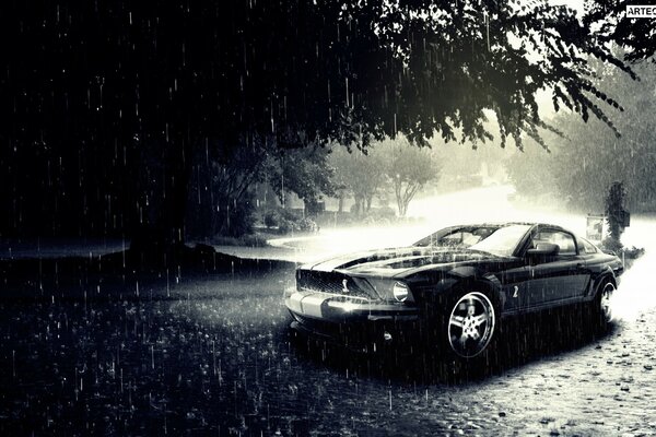 Coche de carreras negro bajo la lluvia junto al árbol