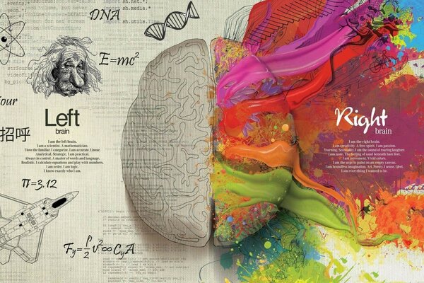 Ilustración creativa del cerebro