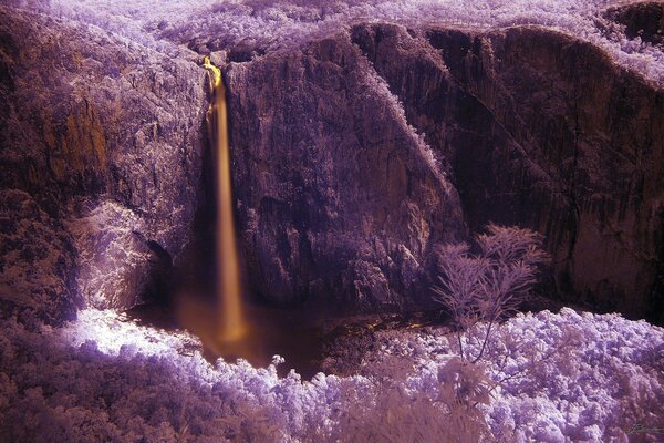 Un beau paysage inhabituel de montagnes et de feuillages dans des tons violets