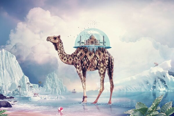 The camel creatively travels among the ice floes in nature and drags the city in its humps