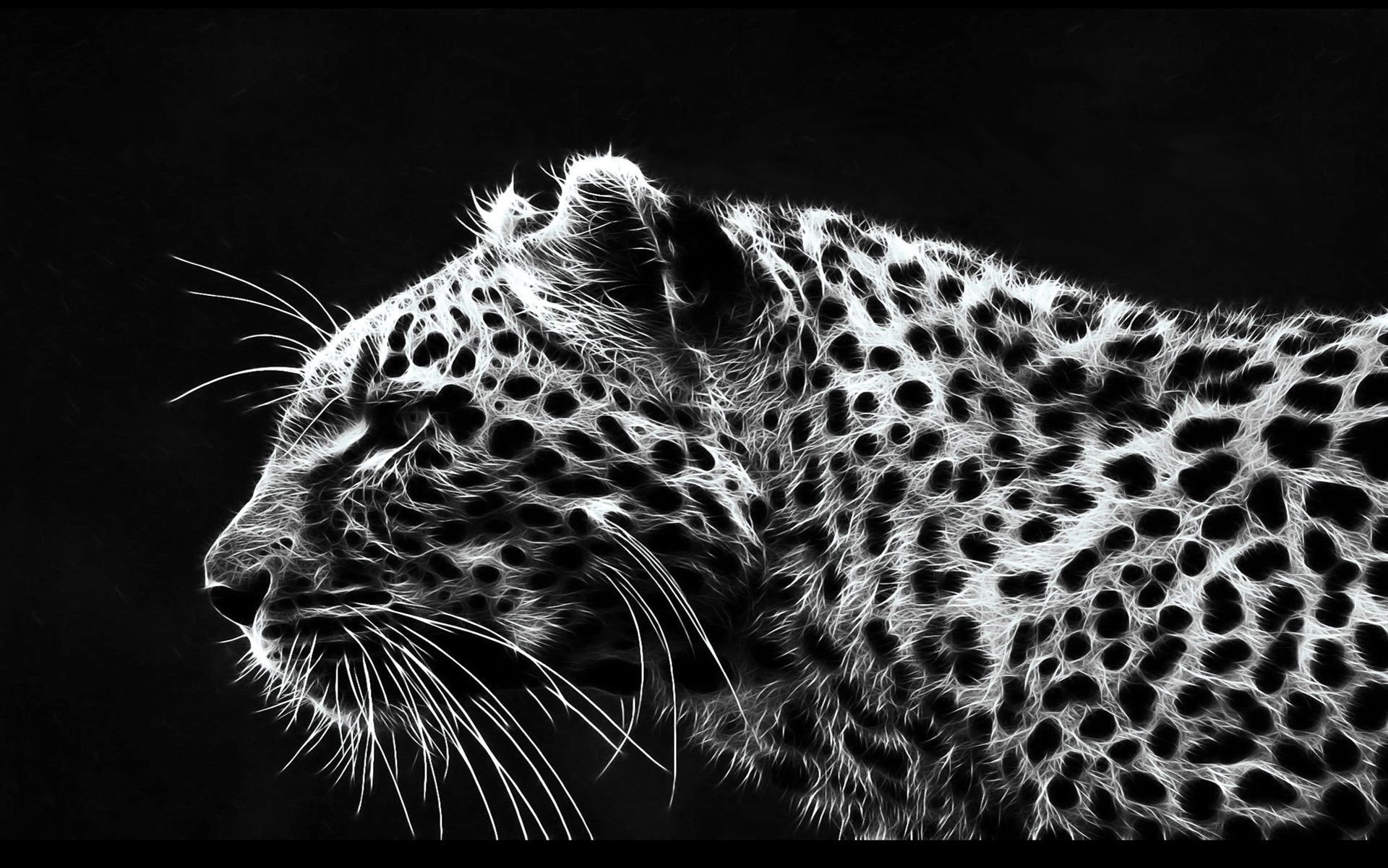 leopardos gato leopardo animal vida selvagem predador safari jardim zoológico mamífero pele perigo selva caçador natureza selvagem grande