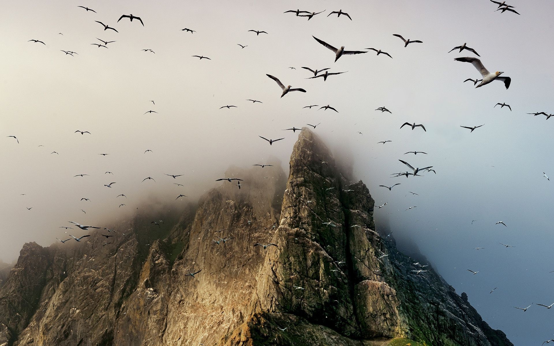 rocks boulders and stones bird water sunset sea dawn ocean lake beach landscape reflection seashore sky evening nature fog seagulls river mist