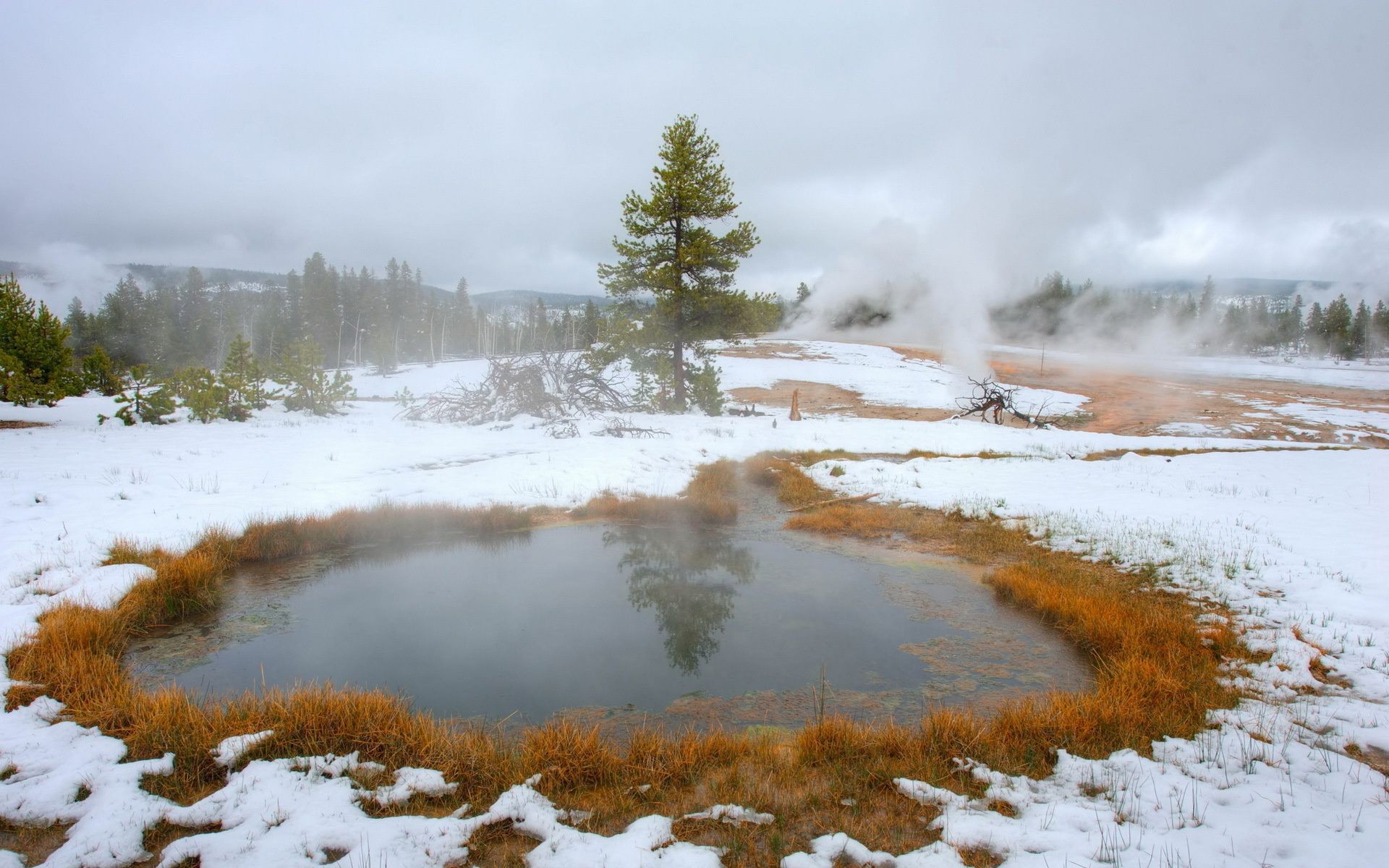 lago paesaggio nebbia geyser natura coppia inverno nebbia primavera calda neve acqua all aperto in scala di legno termico di legno geotermico alba