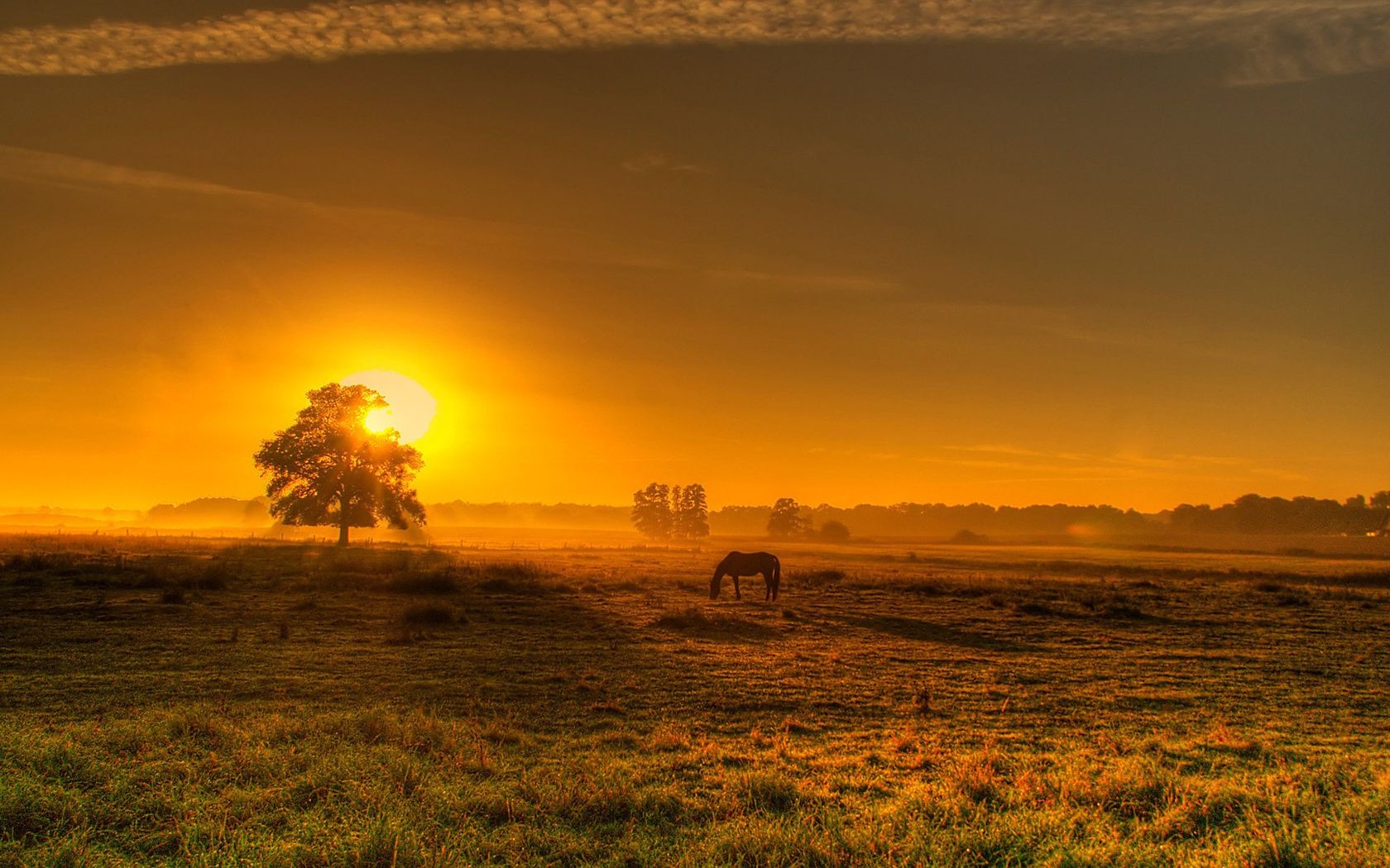 campos prados e vales pôr do sol amanhecer sol paisagem noite céu crepúsculo natureza bom tempo