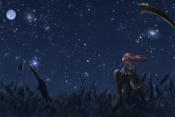 Twinkling starry sky over the meadow