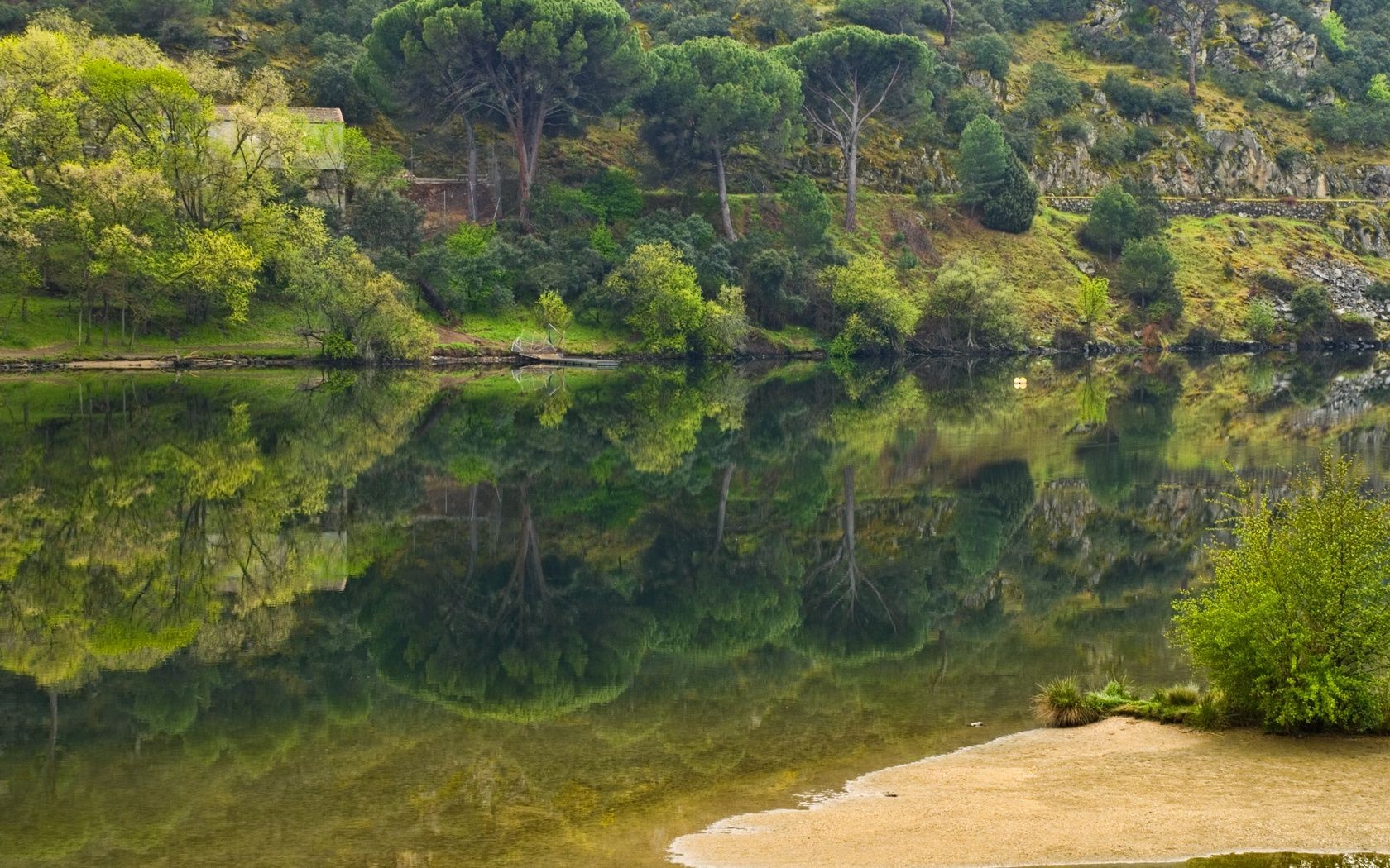 rios lagoas e córregos lagoas e córregos natureza paisagem água madeira madeira viagem tropical rio verão montanhas ao ar livre cênica céu floresta bela flora ambiente grama folha