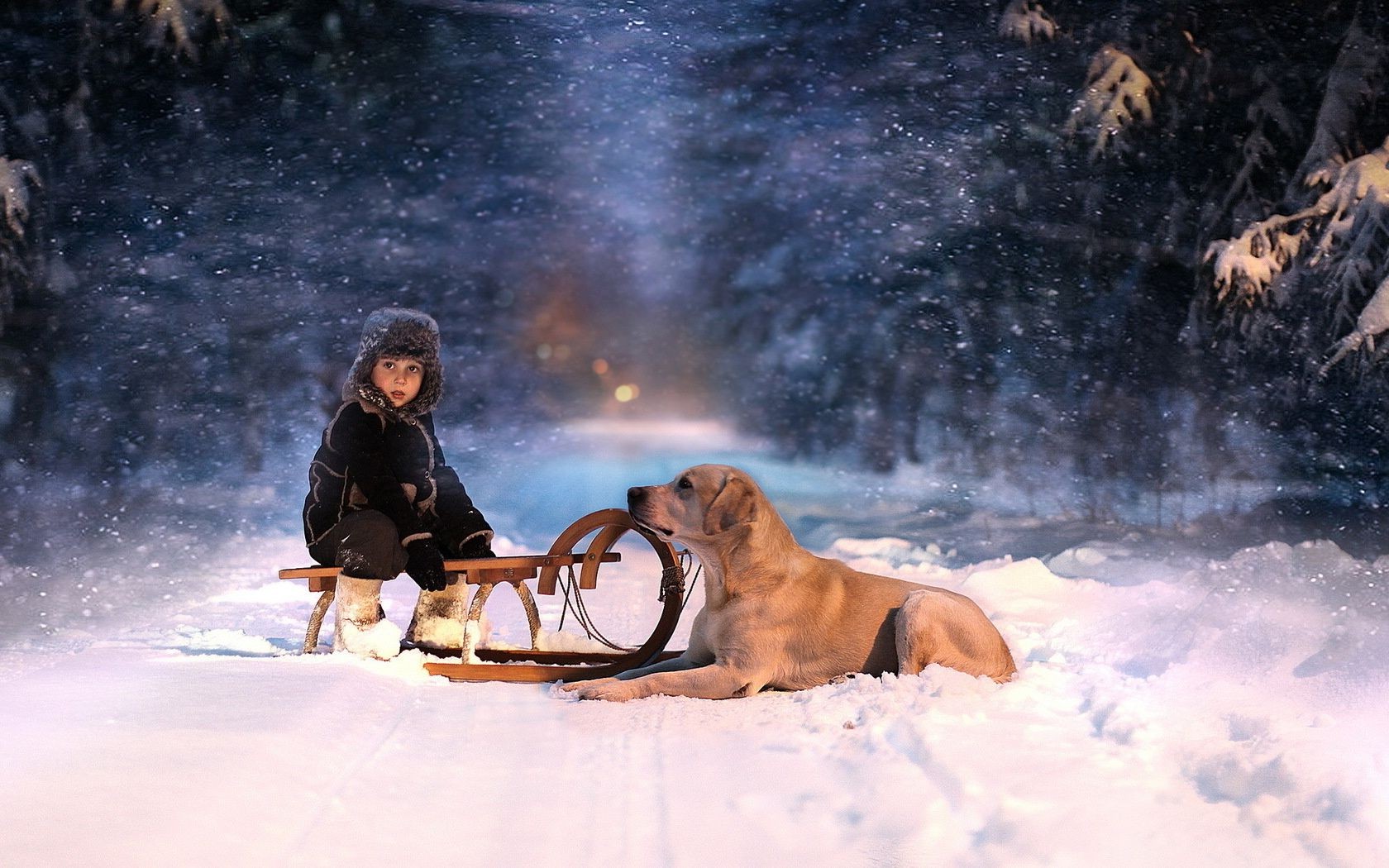 bambini con animali neve adulto inverno uno ricreazione mammifero freddo ritratto azione donna due